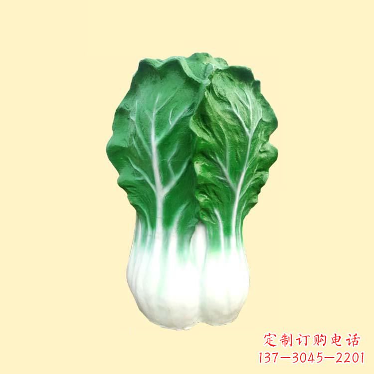 苏州白菜智能投影仪——让你的生活更加精彩