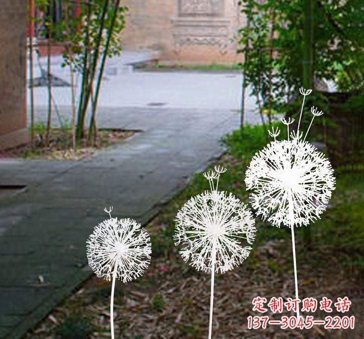 苏州不锈钢蒲公英点亮城市之美