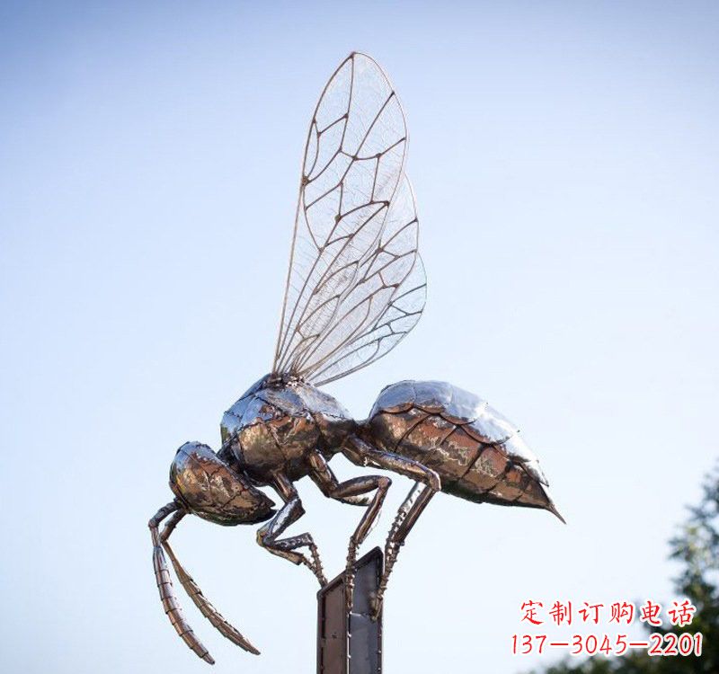 苏州不锈钢公园蜜蜂雕塑精彩纷呈的自然之美