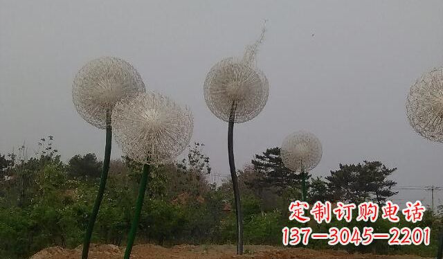苏州蒲公英的绚丽多彩