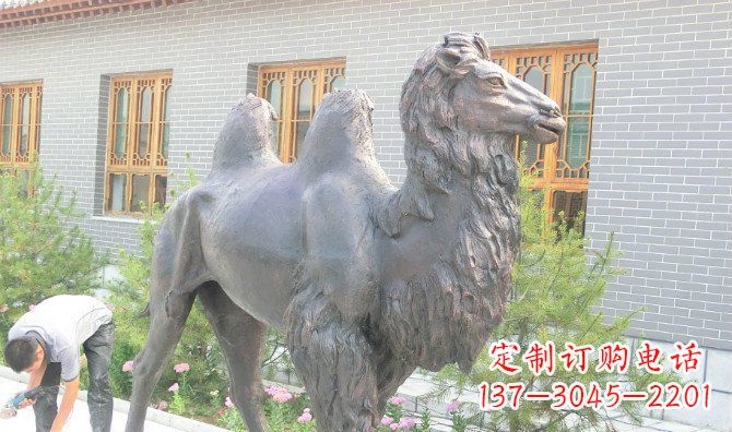 苏州精美的骆驼铜雕,提升您的公园气质