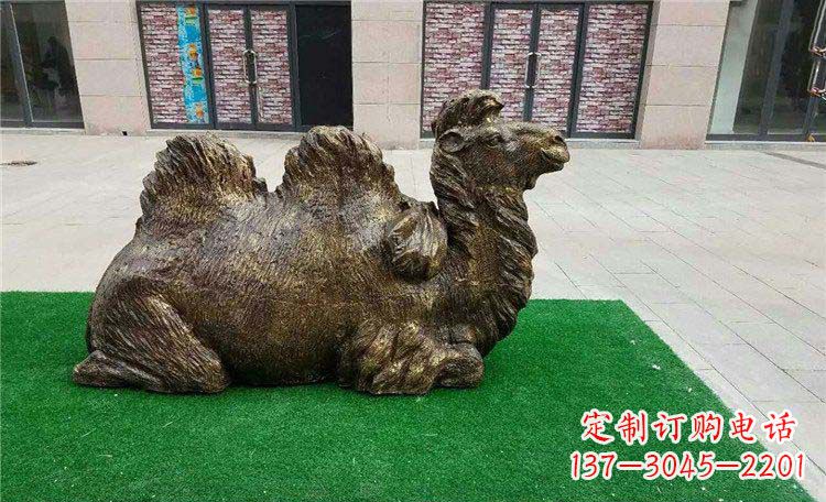 苏州卧着的骆驼动物铜雕